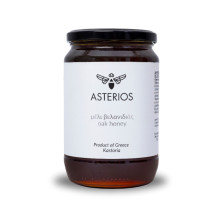 Asterios Μέλι Βελανιδιάς 940gr