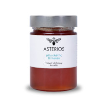 Asterios Μέλι Ελάτης 450gr
